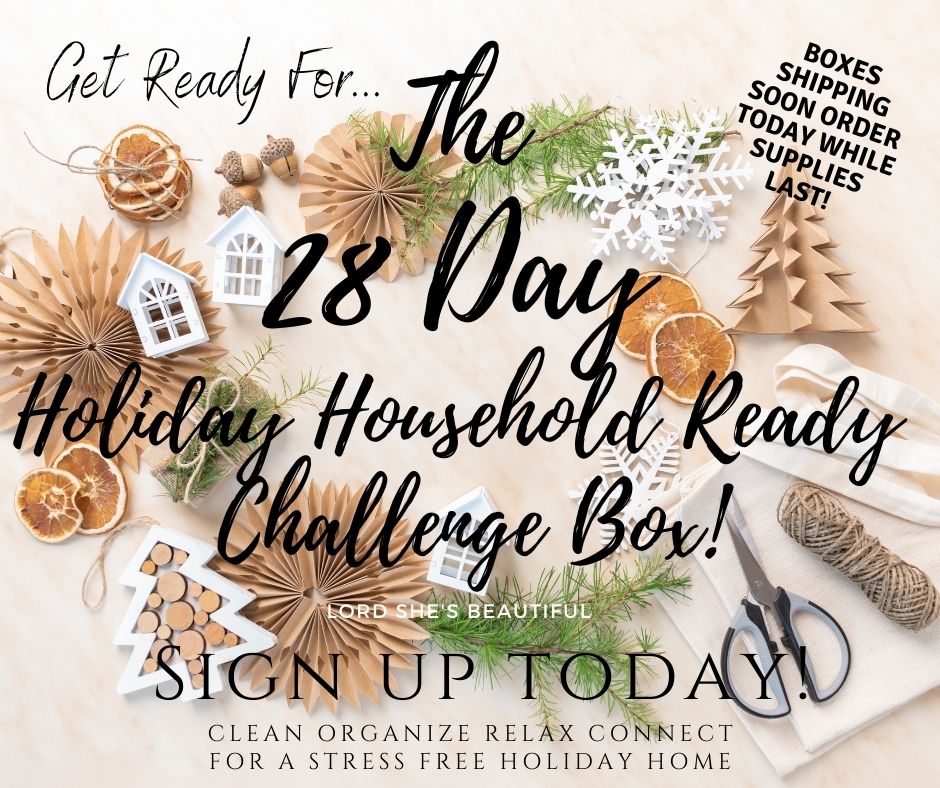 28 Day Holiday Household Ready Challenge Box!
