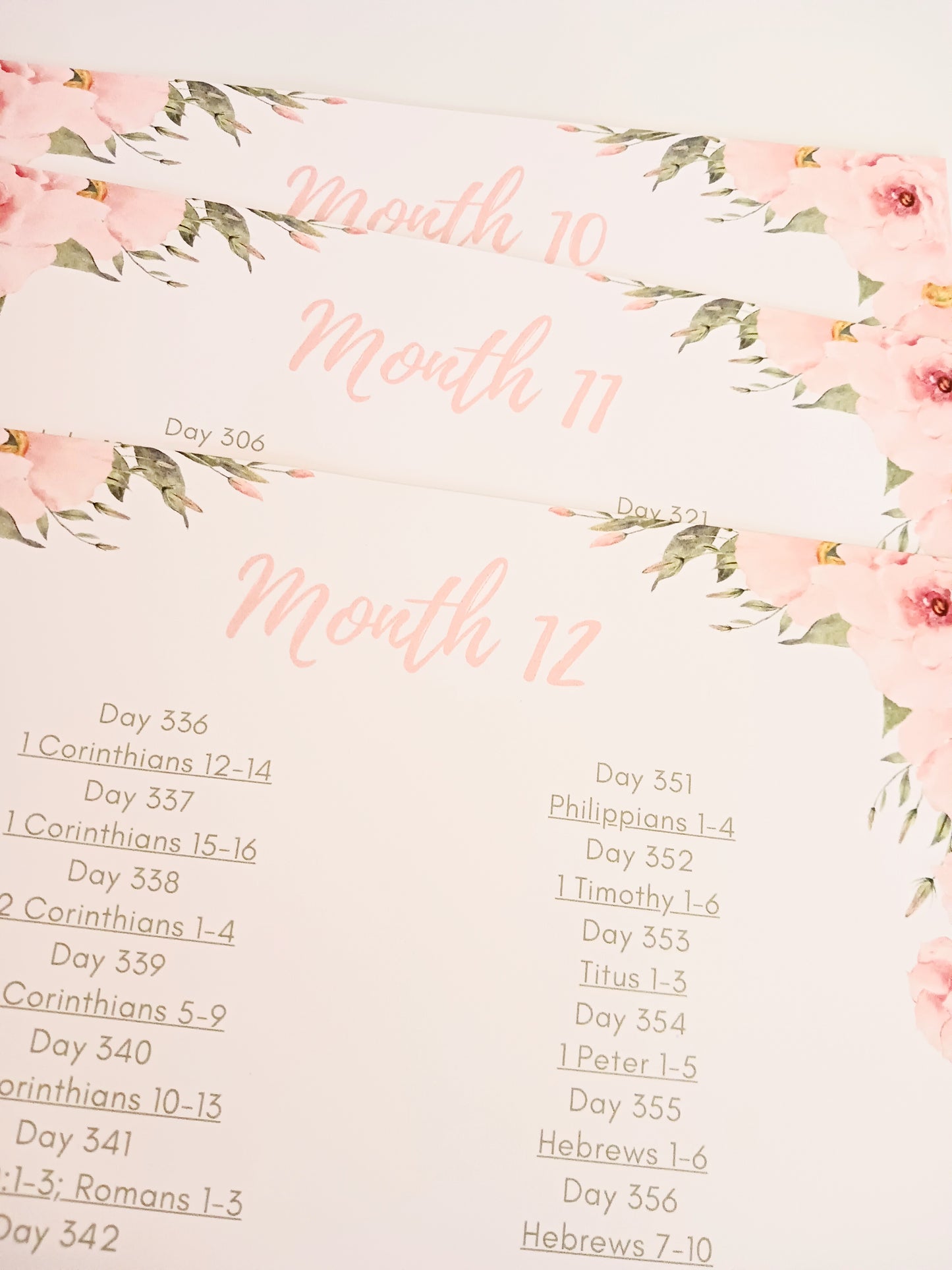 Month By Month Bible In A Year Pack