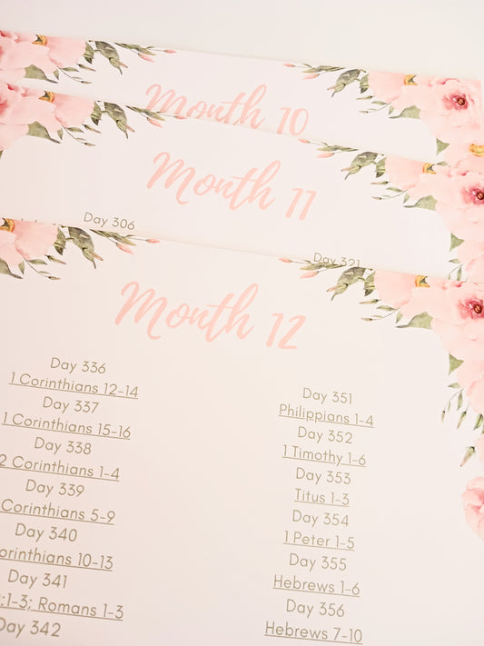 Month By Month Bible In A Year Pack