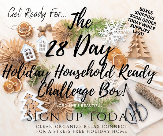28 Day Holiday Household Ready Challenge Box!