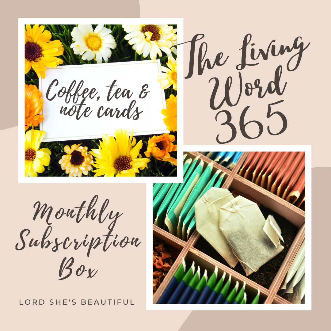 The Living Word 365 Subscription Box