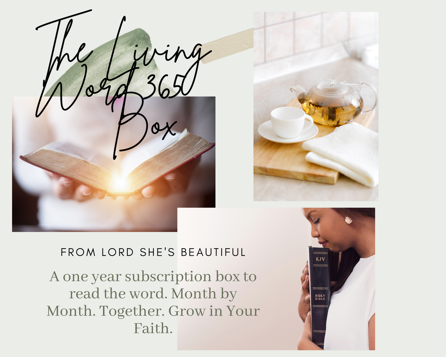 The Living Word 365 Subscription Box